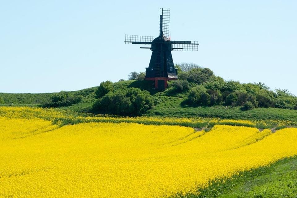 Løkken Feriehytten Honsehusetヴィラ エクステリア 写真